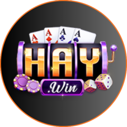 haywin top